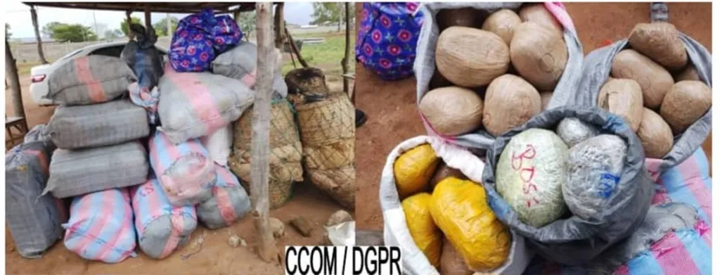 Saisie record de stupéfiants à Sèmèrè