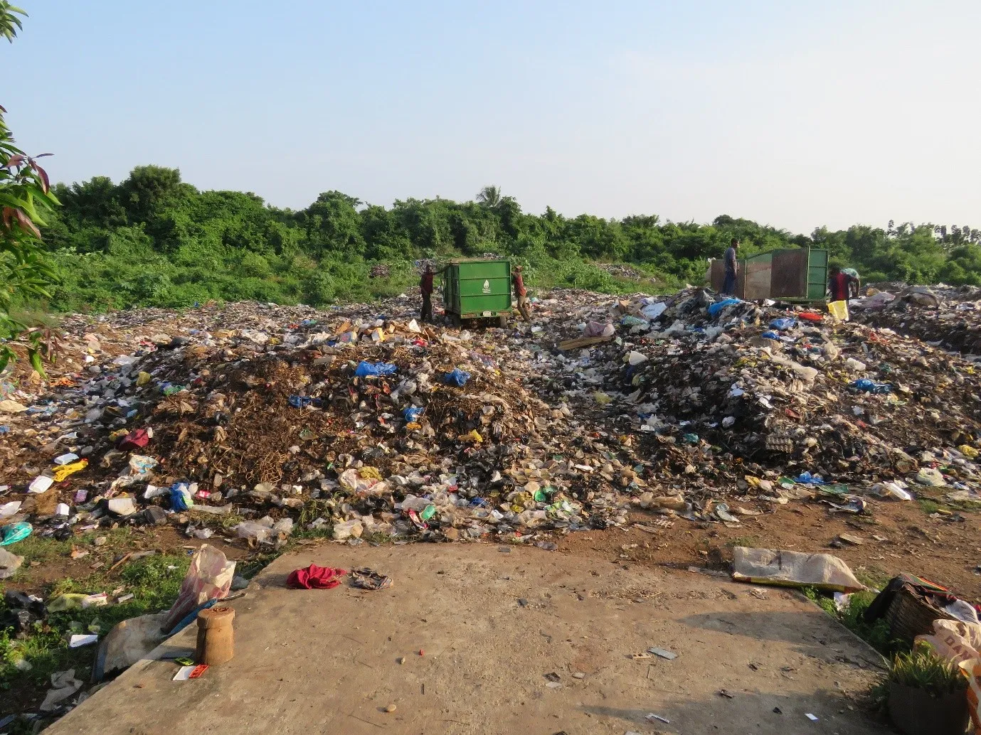 Compte rendu du Conseil des ministres Un marché de charbon et de pharmacopée envisagé