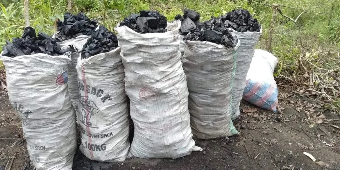 Il est impératif de promouvoir des initiatives de recyclage et sensibiliser la population aux bonnes pratiques de gestion des déchets