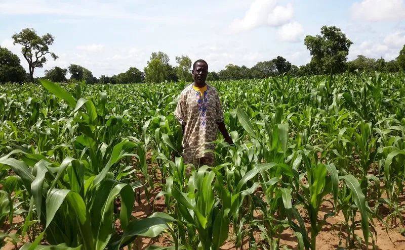 Des solutions durables et des investissements innovants nécessaires pour le développement économique