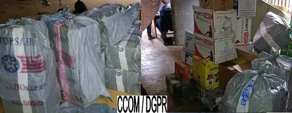 Trafic de faux médicaments à Bassila
