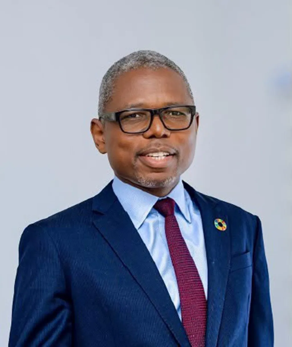 Damien Mama, précédemment patron du Pnud à Kinshasa